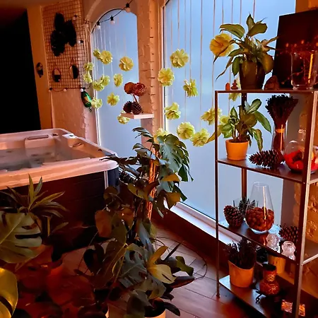 Wyspane Apartment *